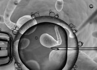 Treating male infertility using a new IVF technique called PICSI does not increase the likelihood of having a baby
