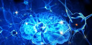 Physical activity reduce the risk of Alzheimer’s disease