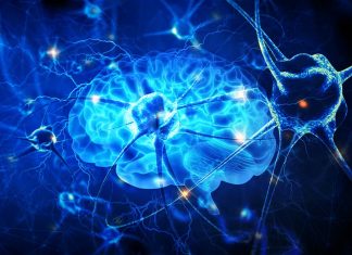 Physical activity reduce the risk of Alzheimer’s disease