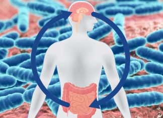 Researchers have identified specific gut bacteria linked to depression