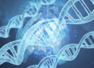Researchers measured genetic risk for developing depression