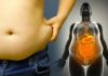 Researchers report the most effective way to reduce internal, visceral fat is to exercise