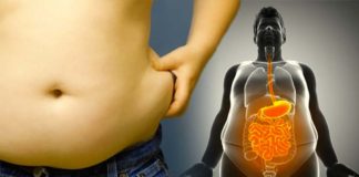 Researchers report the most effective way to reduce internal, visceral fat is to exercise