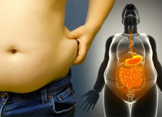 Researchers report the most effective way to reduce internal, visceral fat is to exercise
