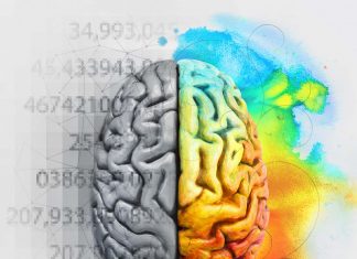 What Makes People Creative Thinkers or Analytical ?