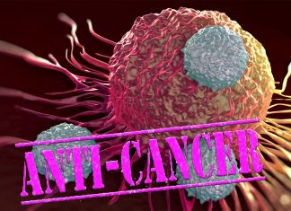 A research team has discovered a new mechanism for a class of anti-cancer drugs known as E1 inhibitors