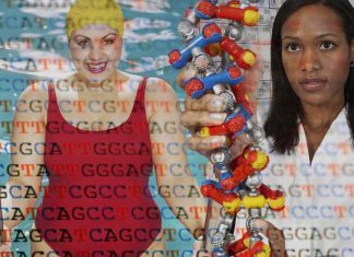 Body fat distribution : Researchers discover DNA variants that significantly influence it