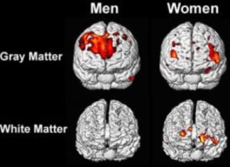 The brain’s metabolism slows as people grow older, and this, too, may differ between men and women