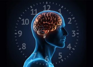 Cancer treatment : Researchers have identified an alternative mechanism to control circadian rhythms