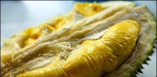 Soaring demand for durians in China is being blamed for a new wave of deforestation in Malaysia