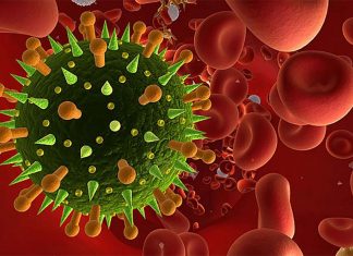 Scientists had discovered immune cells that can fight all known flu viruses