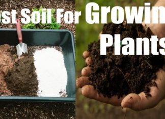 Gypsum helps soil