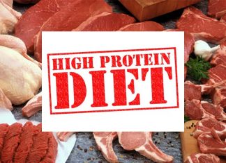 High-protein diets are unhealthy and can lead to shortened lifespans