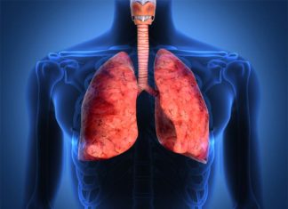 New clues discovered about the risk of organ failure and death following a lung transplant