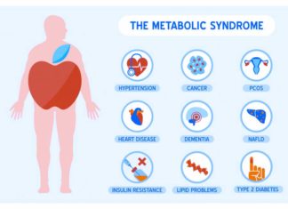 Researchers links protein, clusterin, to cardiac and metabolic diseases