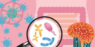 Researchers have uncovered a critical mechanism that controls immune reactions against microorganisms in the intestine