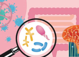 Researchers have uncovered a critical mechanism that controls immune reactions against microorganisms in the intestine