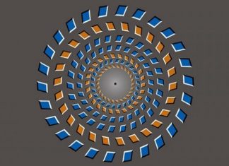 New insights into how the brain grapples with the continual mismatch between perception and reality