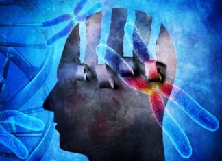 Researchers found link between development of psychiatric disorder and specific genetic variants