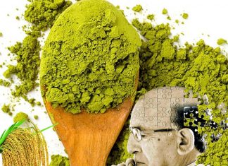 A diet containing compounds found in green tea and carrots reversed Alzheimer’s-like symptoms