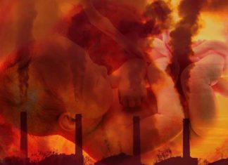 Air pollution may damage fetal cardiovascular development