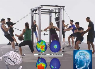 An international team has identified what triggers the boost to brain function through exercise