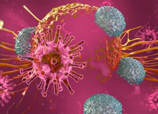 Autoimmune disease : Researchers have developed a new approach