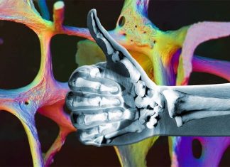 Bioengineers have developed a technique to grow live bone to repair craniofacial injuries