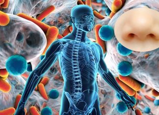 Children’s noses microbiome alteration offer clues to improving the diagnosis and treatment of severe lung infections