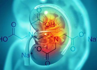 Chronic kidney disease : researchers have reversed the deadliest effects