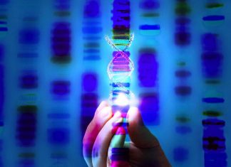 Discovered a gene mutation that cancel pain