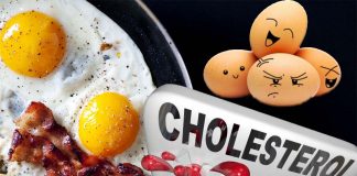 Eating more eggs and cholesterol increases the risk of cardiovascular disease and death