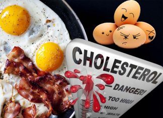 Eating more eggs and cholesterol increases the risk of cardiovascular disease and death