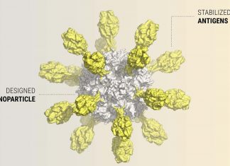 First nanoparticle vaccine candidate for respiratory syncytial virus