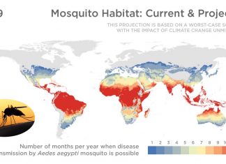 Global warming : billion people could be newly exposed to disease-carrying mosquitoes by the end of the century