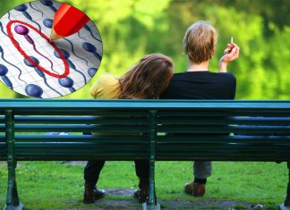 Heart defects in offspring can be linked to fathers who smoked