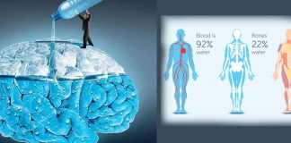 Hydration – How does your brain actually know when you need to drink ?