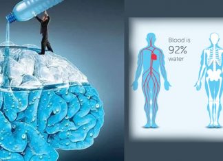 Hydration – How does your brain actually know when you need to drink ?