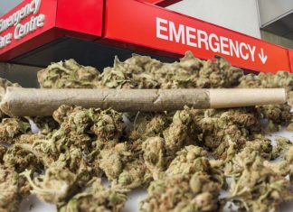 Inhaled marijuana caused the most severe problems sending more people to the emergency room