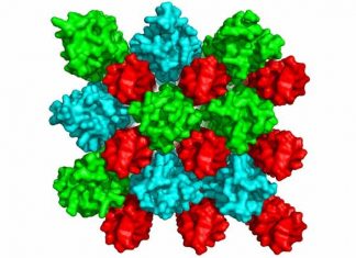 In autoimmune diseases the immune system goes into overdrive