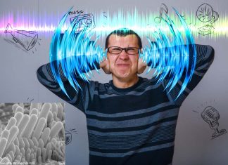 Loud sounds can impair hearing for a short time