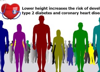 Lower height increases the risk of developing type 2 diabetes and coronary heart disease