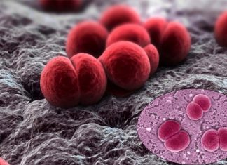 Phenotiazines – antipsychotic drugs have successfully treated a form of meningitis