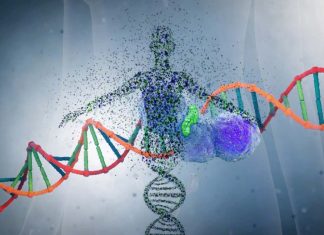 PARP inhibitors could unmask cancers to immune system and boost effects of immunotherapy