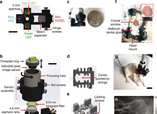 Researchers has developed an inexpensive, portable mini microscope