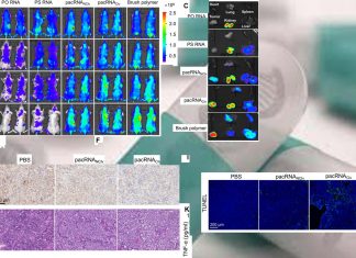 Researchers have devised a drug delivery system more effective