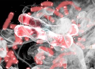 Smoking cause low levels of oxygen in the womb exposing fetuses to chronic hypoxia