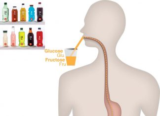 High-fructose corn syrup accelerates the growth of intestinal tumors