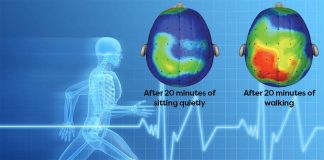 There is a strong link between physical activity and how your brain works
