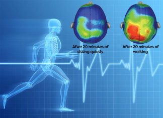 There is a strong link between physical activity and how your brain works